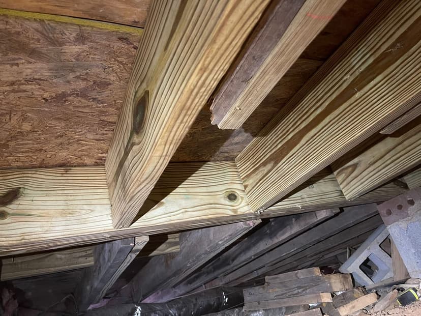 New lumber sistered alongside older floor joists in a crawl space