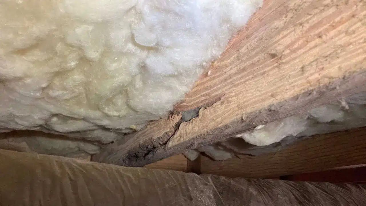 A split floor joist above insulation in a crawl space