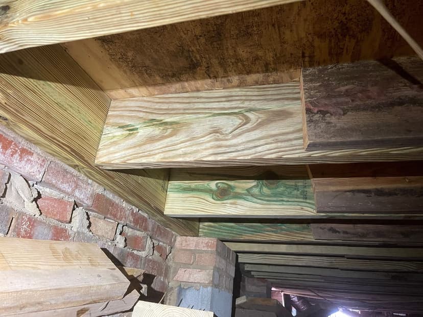 New treated lumber fastened alongside darkened older floor joists in a crawl space