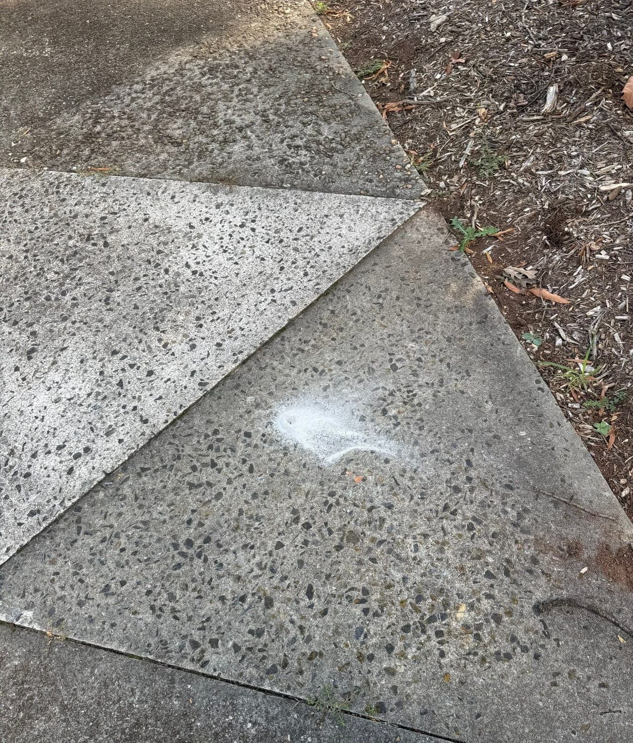 Close view of an exposed aggregate slab with a patched injection hole beside mulch.