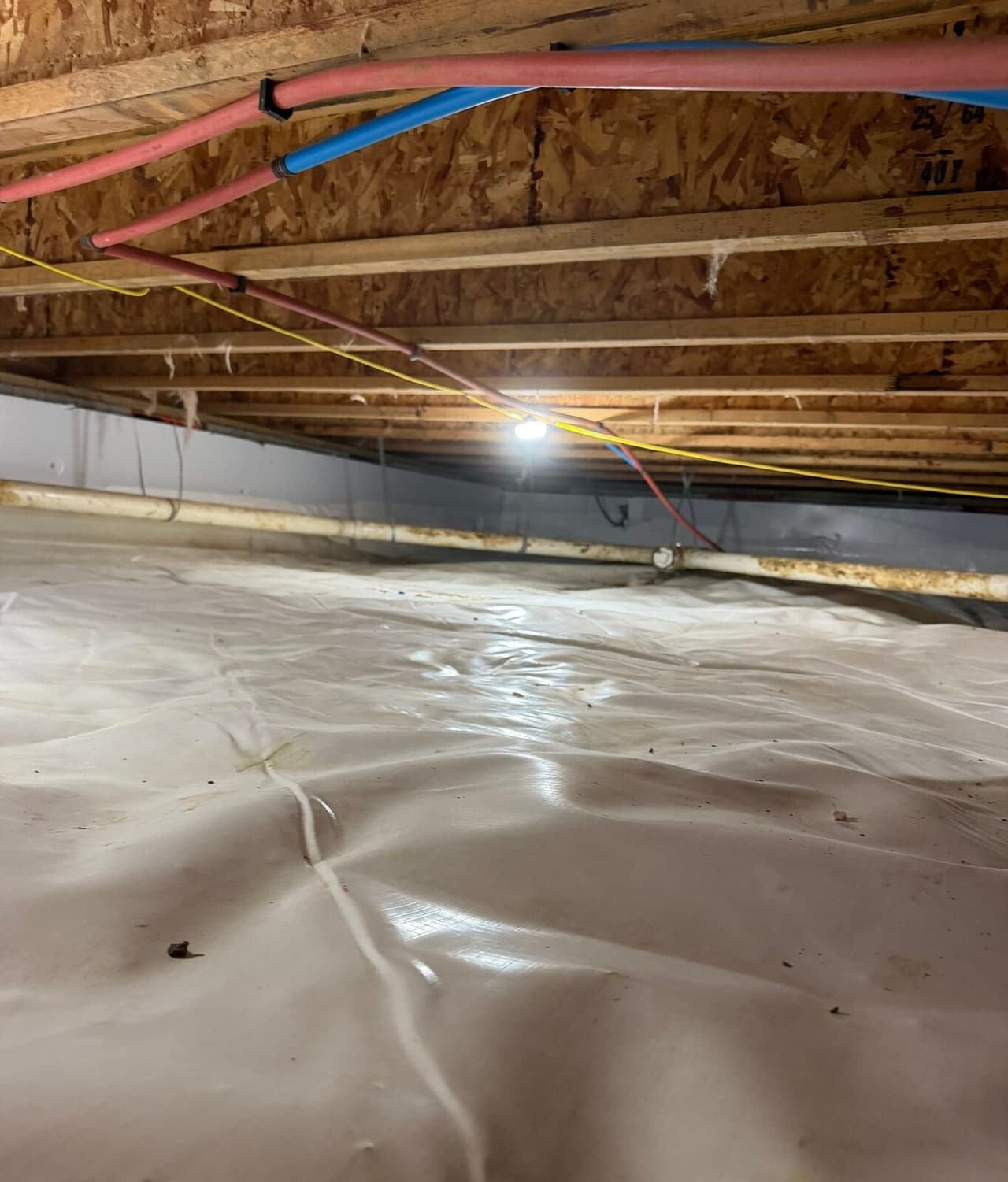 Crawl space floor covered in white liner with white wall panels and pipes under the floor joists.
