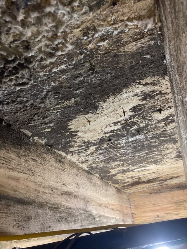 HydroHelp911 Crawl Space & Foundation Repair inspecting musty odors and rotted wood from crawl space moisture