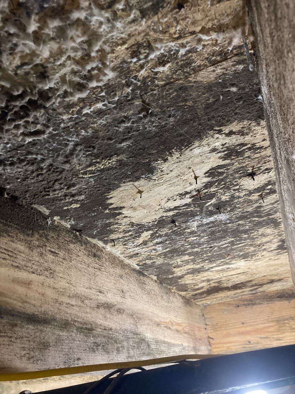 HydroHelp911 Crawl Space & Foundation Repair inspecting musty odors and rotted wood from crawl space moisture