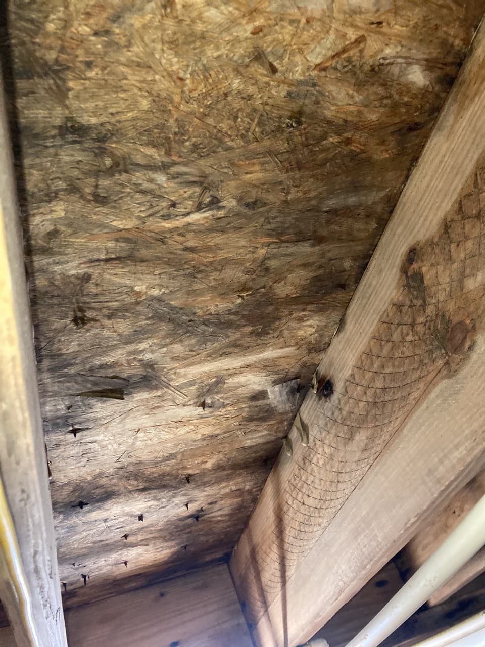HydroHelp911 Crawl Space & Foundation Repair inspecting wood rot and moisture damage on subfloor joists in a crawl space.