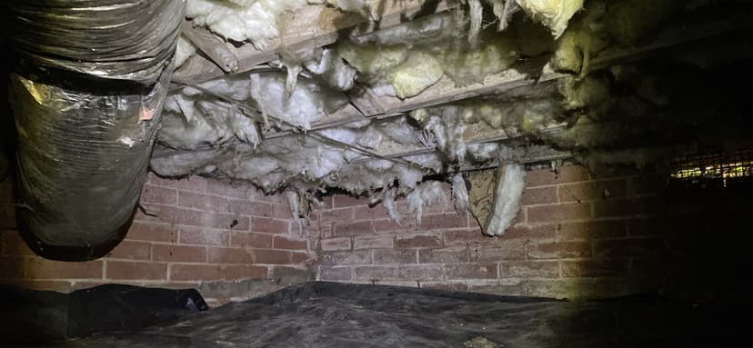 HydroHelp911 Crawl Space & Foundation Repair inspecting deteriorating and wet insulation in a damp crawl space.
