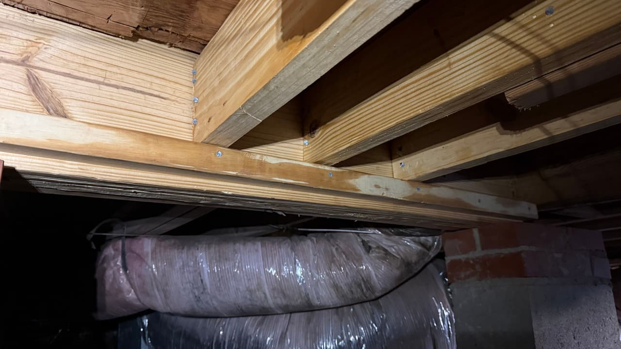 HydroHelp911 Crawl Space & Foundation Repair inspecting deteriorating insulation, moisture in a crawl space