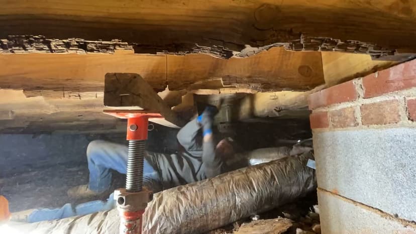 Why Structural Repair Does Not Always Stop Floor Squeaks. Video preview.