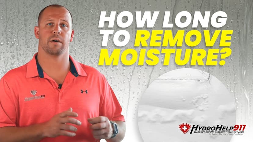 How Long Until Moisture Levels Drop After a Dehumidifier Is Installed. Video preview.
