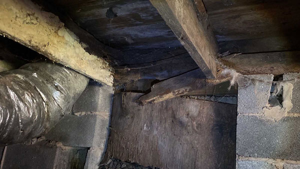 Rotting moldy wooden crawl space floor joists