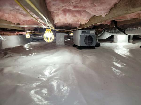 Crawl space encapsulation: This service involves creating a complete seal between your crawl space and any moisture that attempts to get inside.