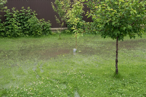 Can’t Ignore Drainage Issues