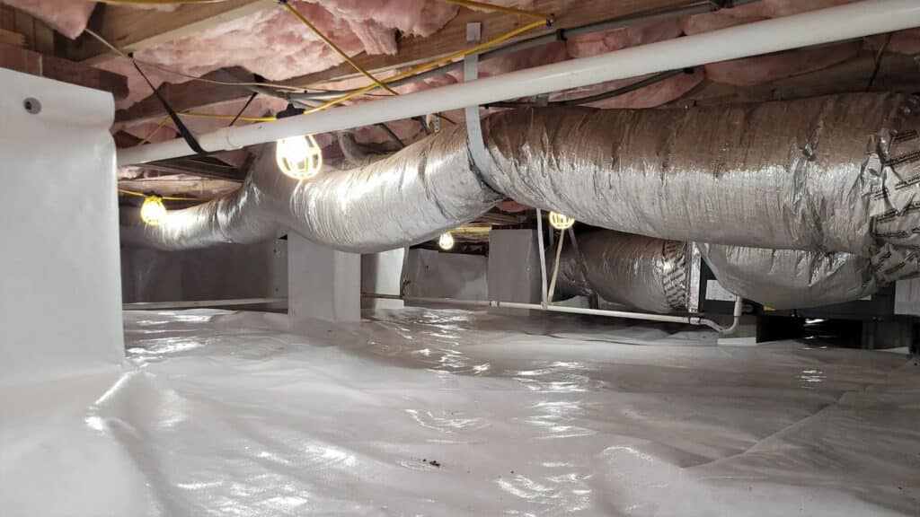 Reducing Pests